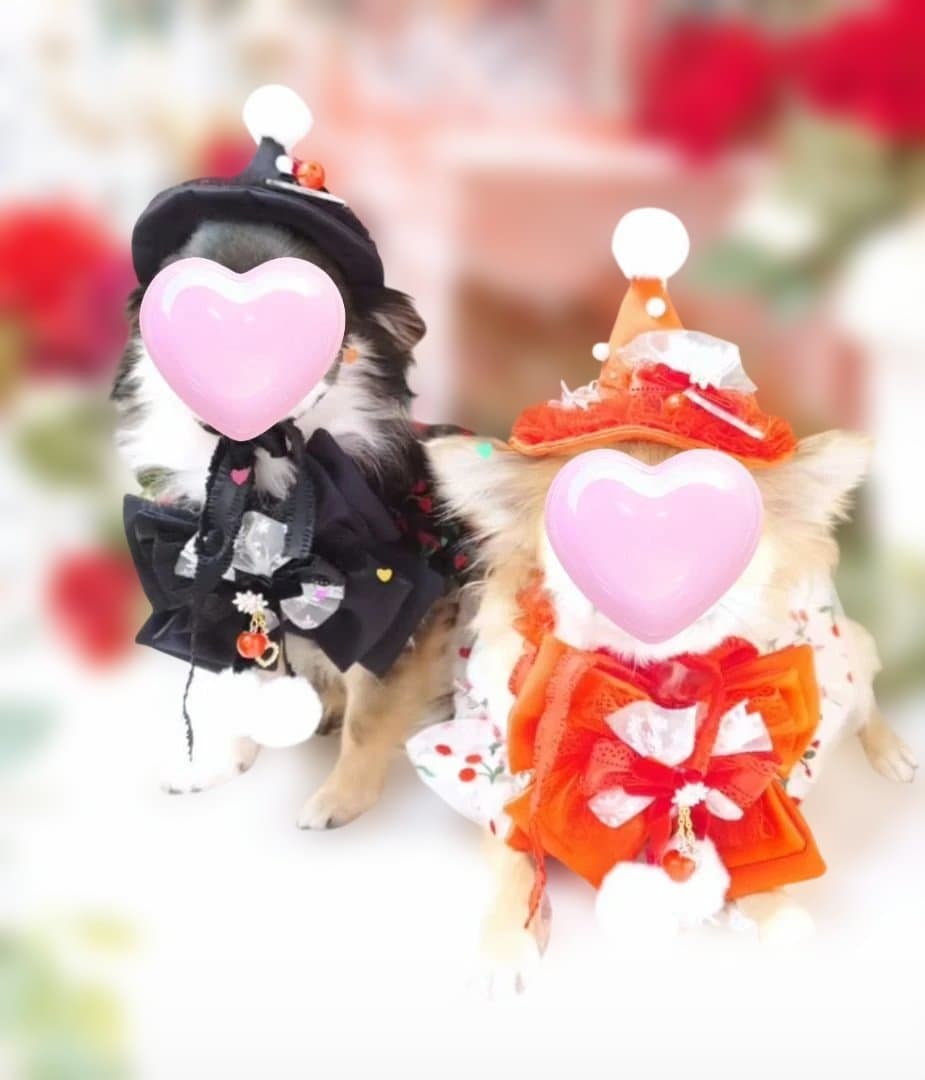 エトワール クリスマスハット＆スタイセット レッド