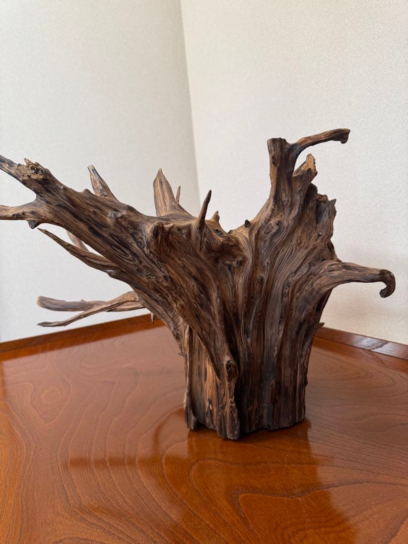 とても美しい流木　特大　水槽　インテリア　美術品　アクアリウム　中庭　玄関
