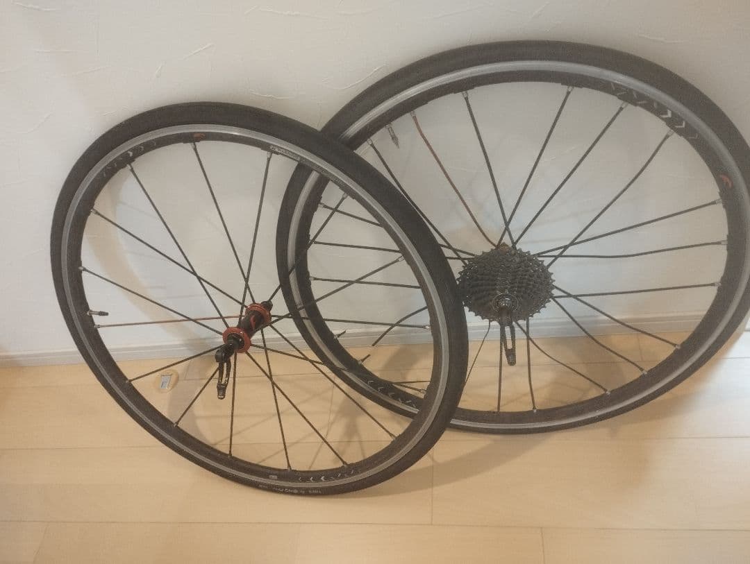 レーシングゼロコンペ　RACING ZERO COMPETIZIONE