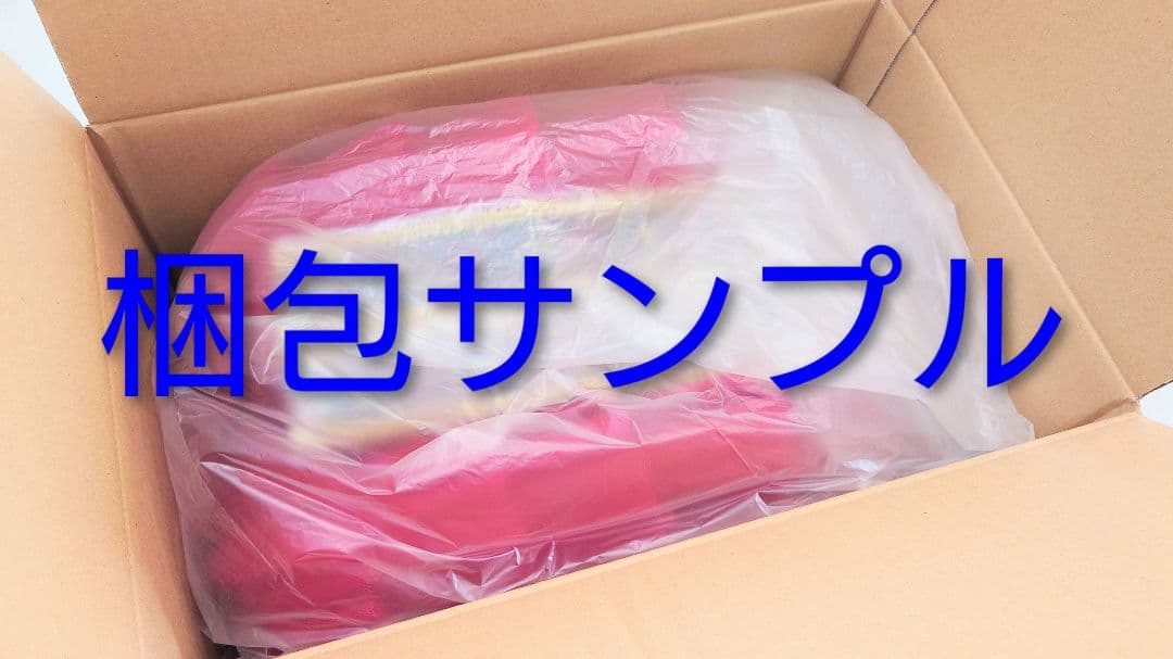 【オーロラ姫、ライモンダ、森の女王】 チャコットバレエ衣裳 美品・新品同様 ６号