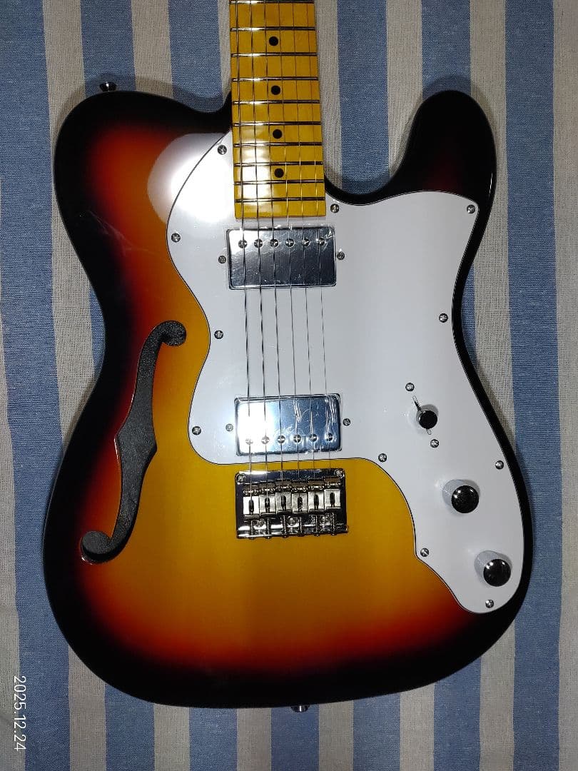 DonnerのテレキャスターThinlineタイプのDJC-1000Sほぼ未使用