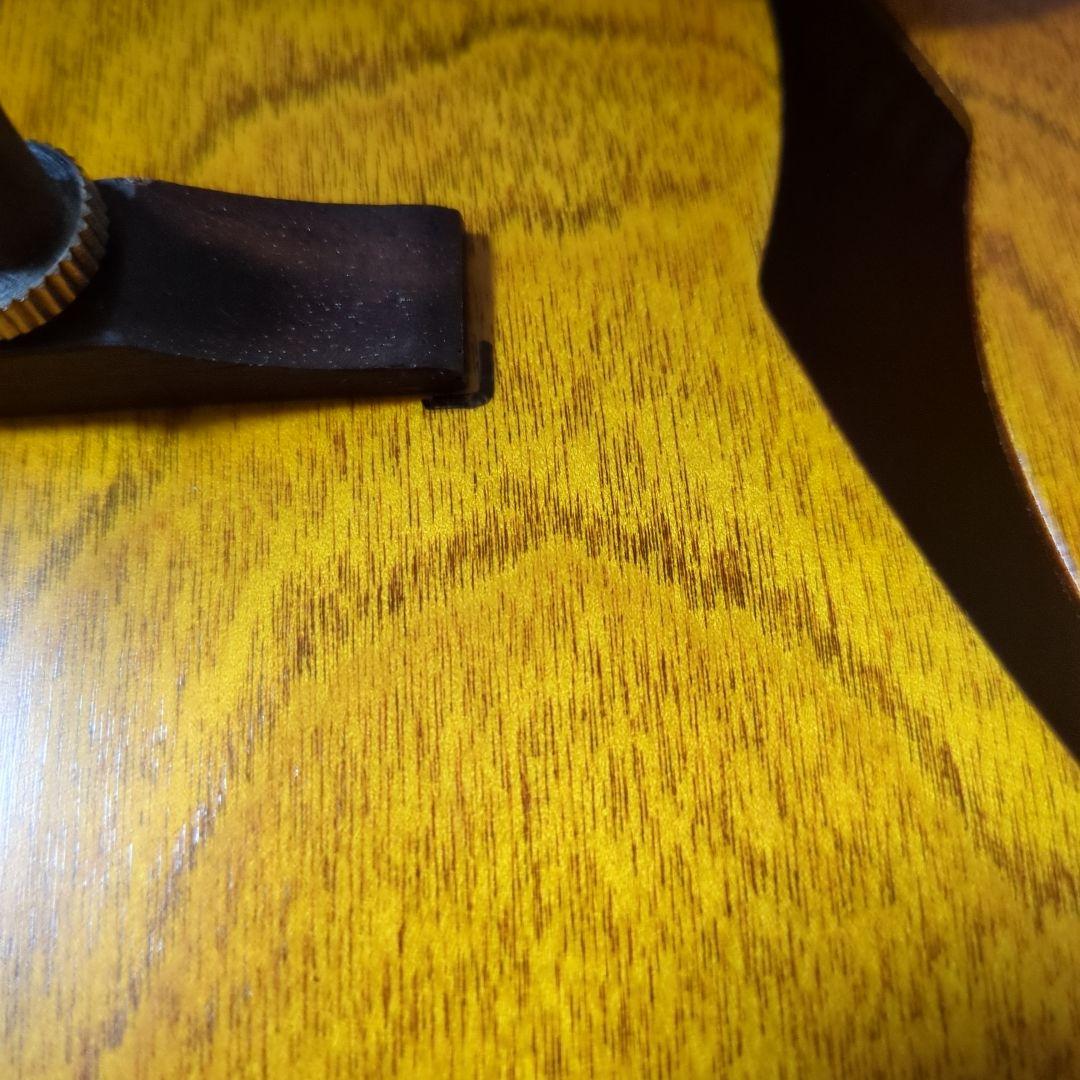 Godin 5th Avenue アコースティックギター ギグバッグ付