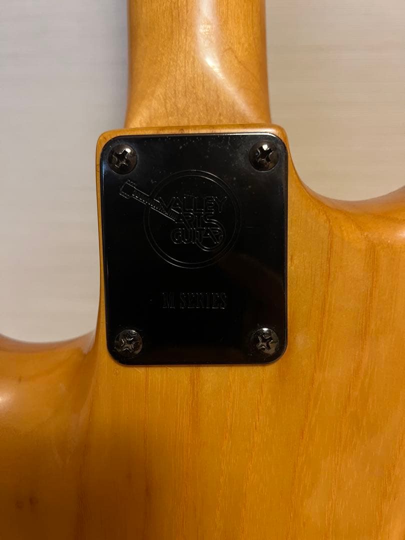 Valley Arts M Series ナチュラルカラー HSH