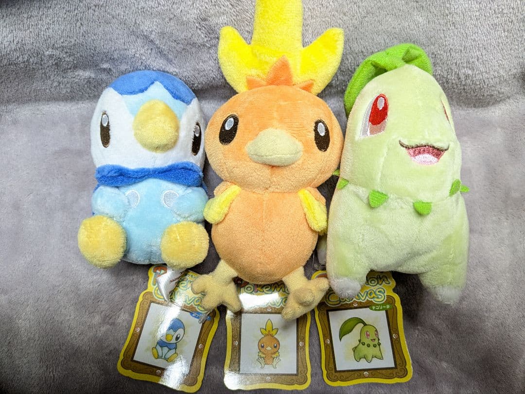 ポケモンセンター限定 ポケモンキャンパス マスコット アチャモ ぬいぐるみ