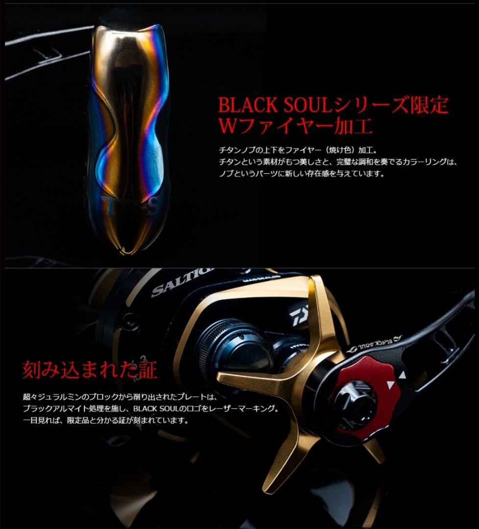 【新品】超レア☆ダイワ ソルティガIC 300HL-SJ☆LIVREリミテッド★