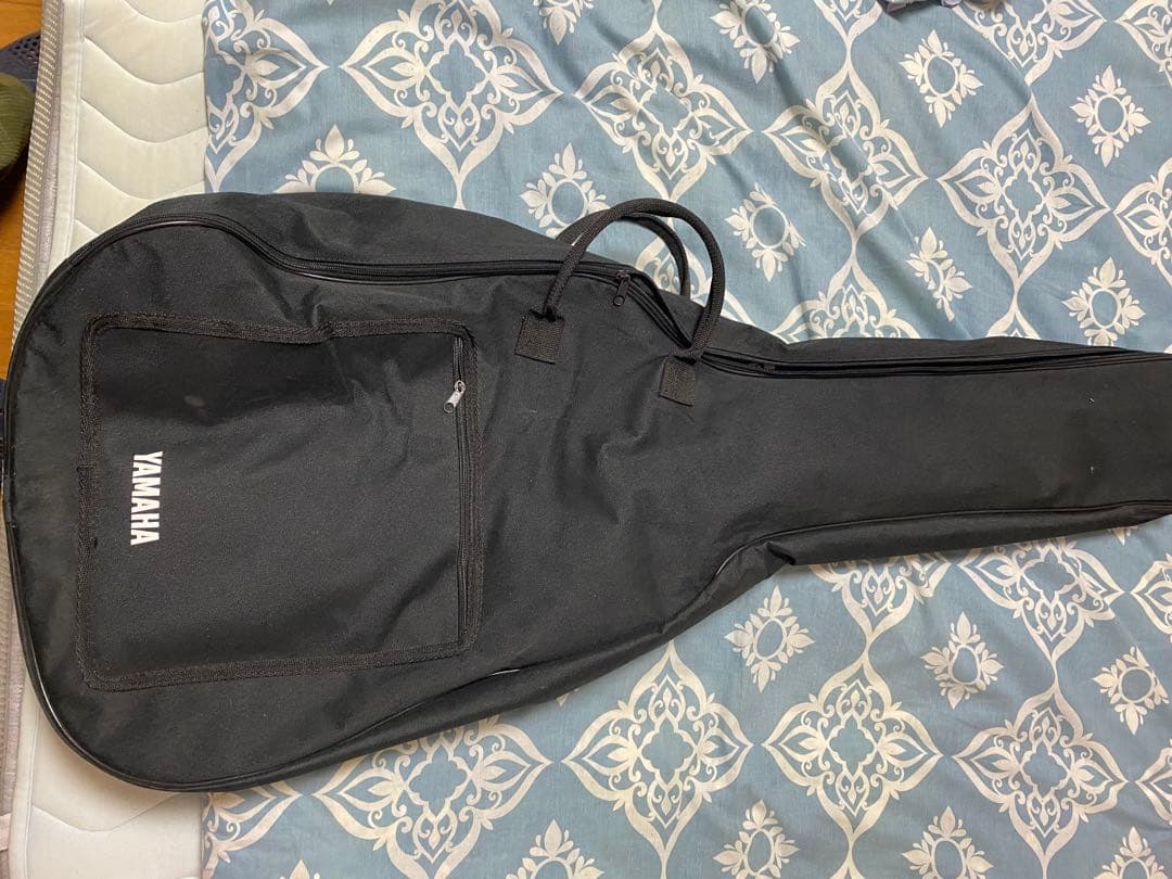 Washburn エレキギター 紫 STEAVE SARAS シグネチャーモデル