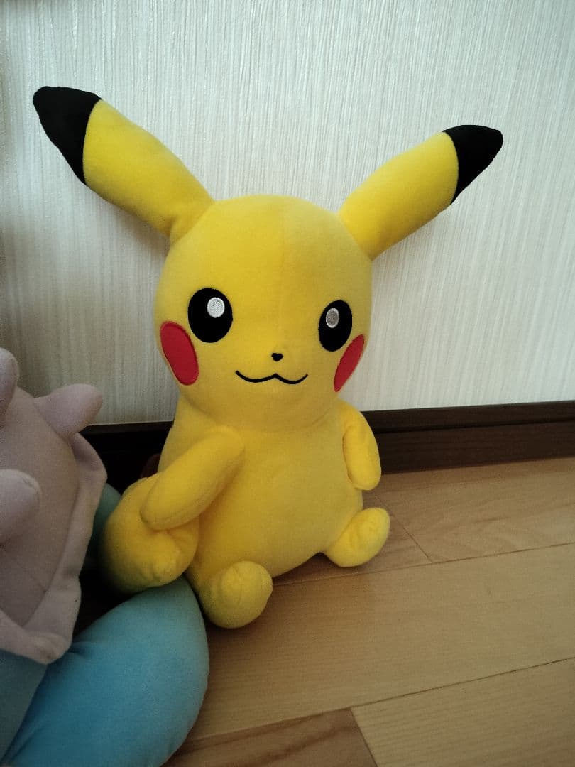 ポケモン ぬいぐるみ　BIG　10体セット