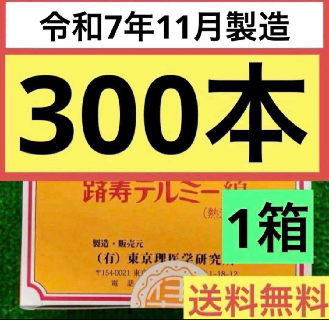 ①新品未開封 イトオテルミー　テルミー線　300本入×1箱