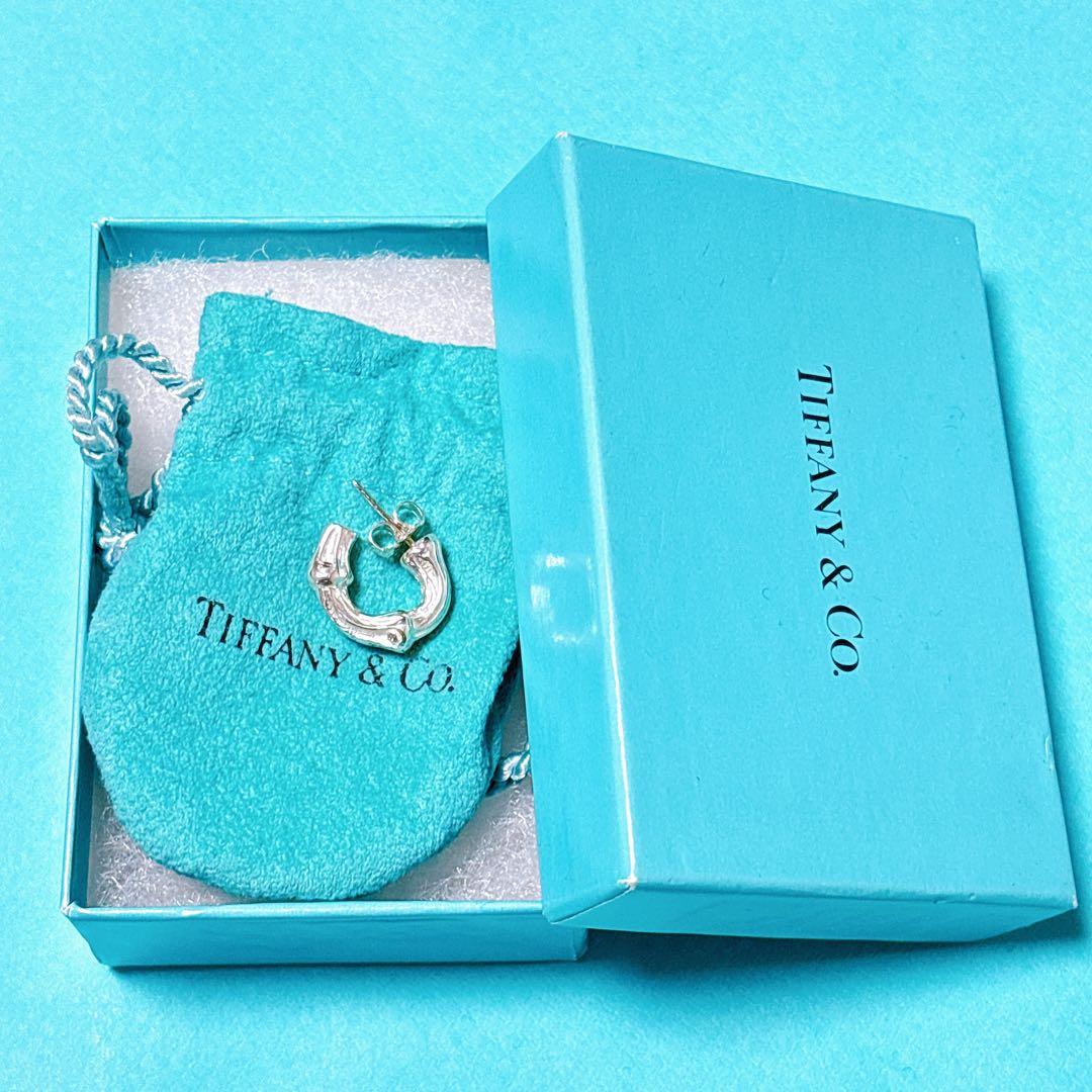 【美品】Tiffanyティファニー 片耳 スモール バンブー ピアス SV925