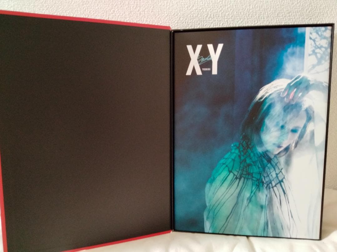 XY☆YOSHIKI 写真集☆DVD付きビジュアルブック