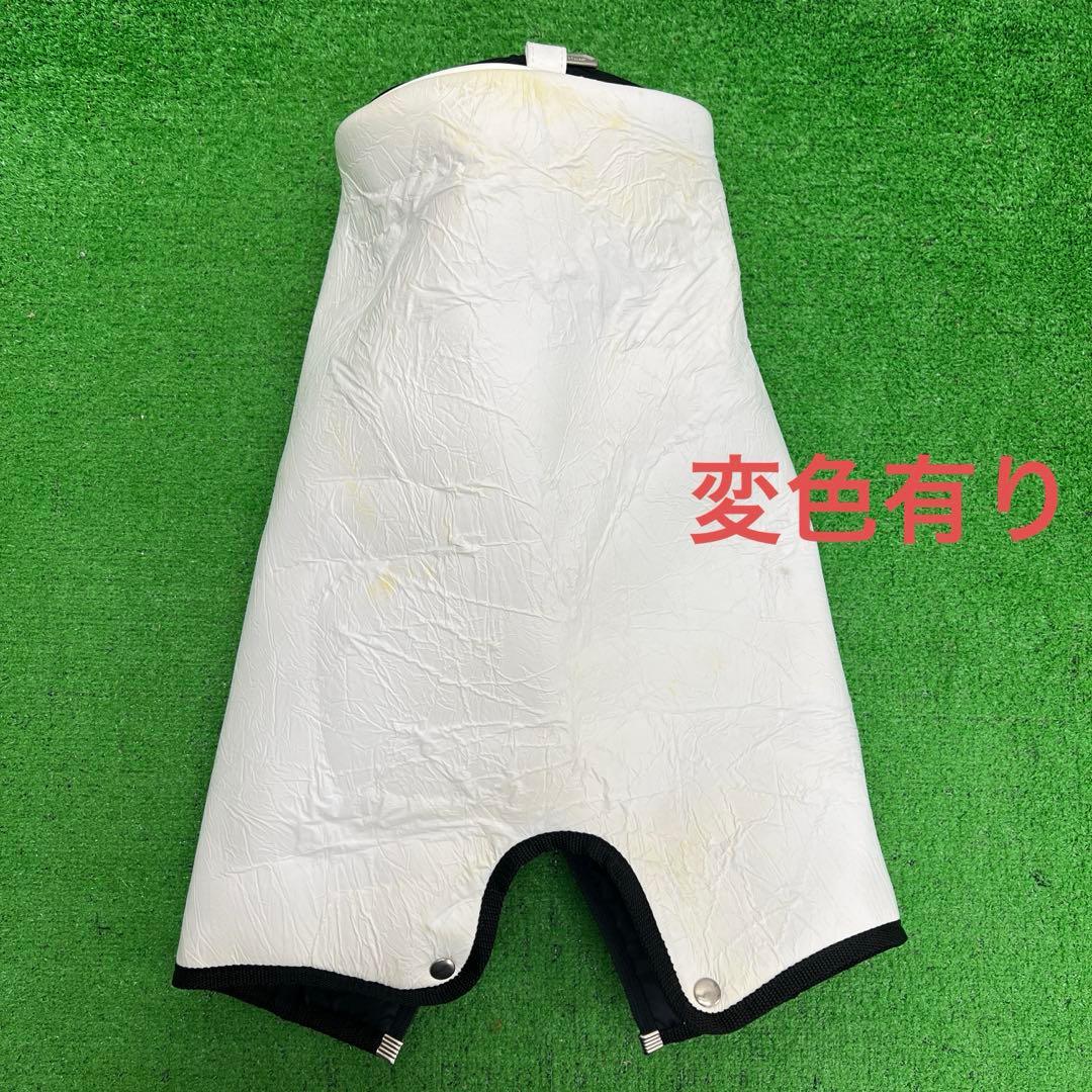 タイトリスト　titleist キャディーバック　8インチ　ホワイト　メンズ