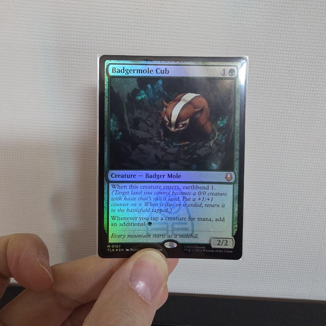 Badgermole Cub マジック：ザ・ギャザリング
