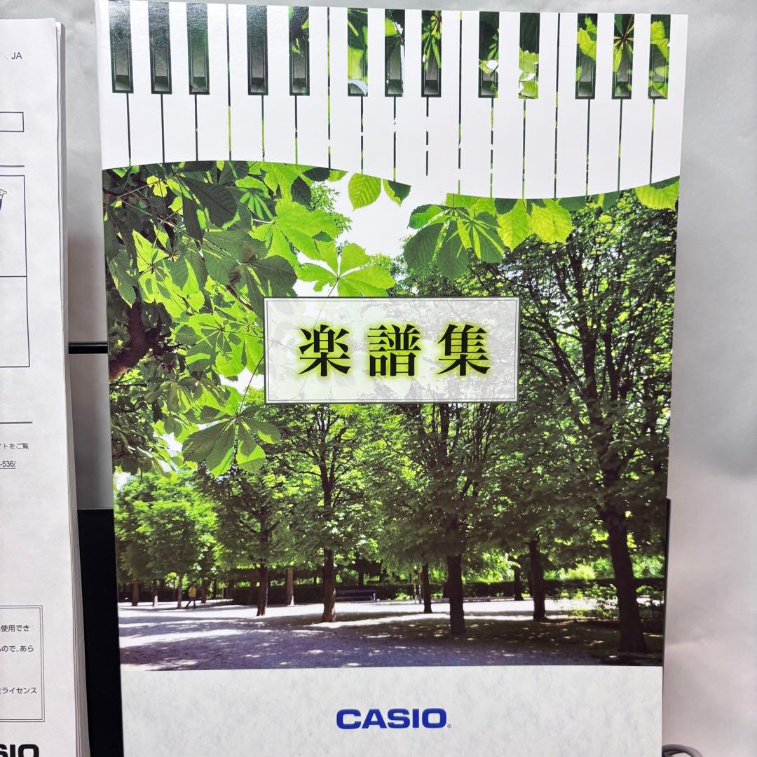 【美品】2025年製CASIO LK-536 キーボード
