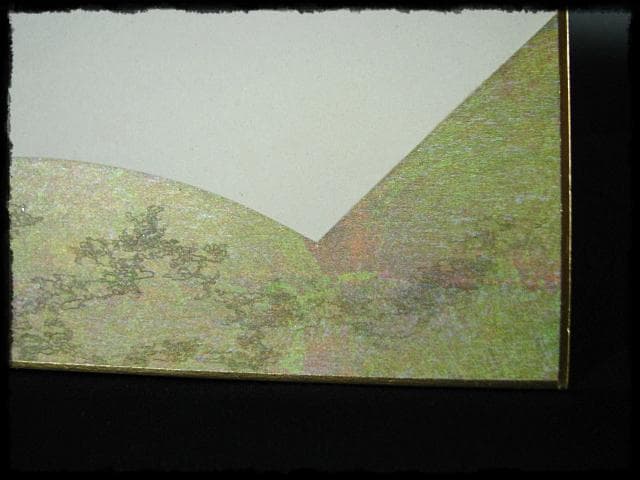 鵬雲斎 大宗匠 柳緑 裏千家 15代 玄室 色紙 肉筆 茶道具 u36