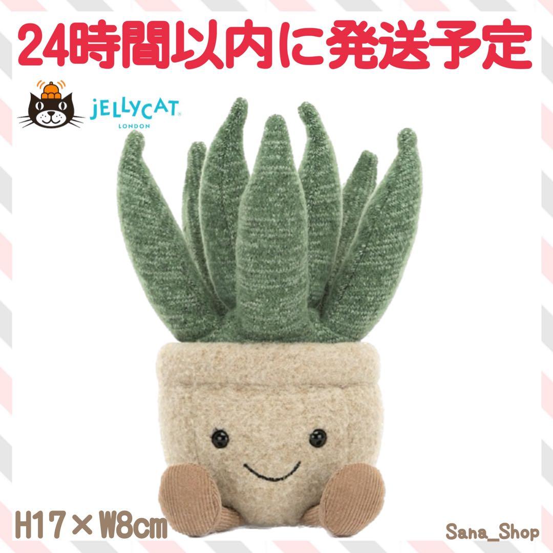 新品　JELLY CAT　アロエ　植物　多肉植物　アロエベラ　観葉植物　緑
