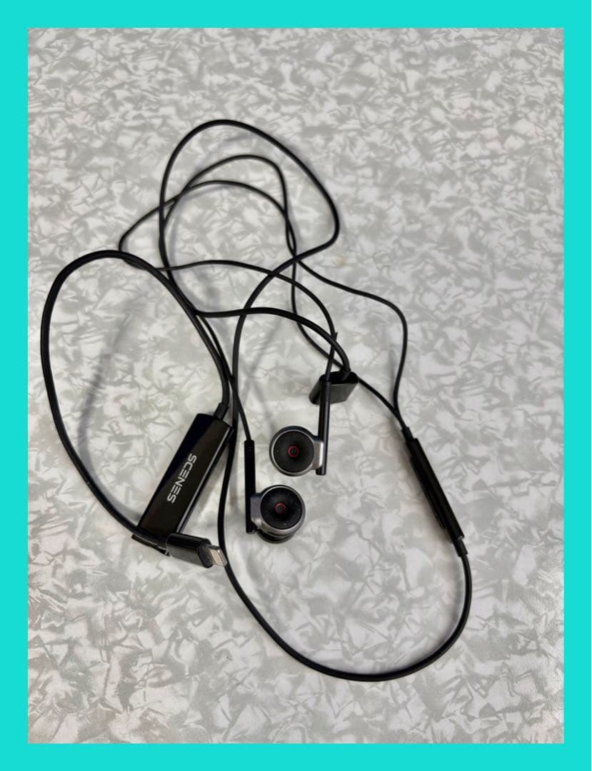 SCENES ASMR用バイノーラルマイク　　　　　別途RODE収納ケース付き