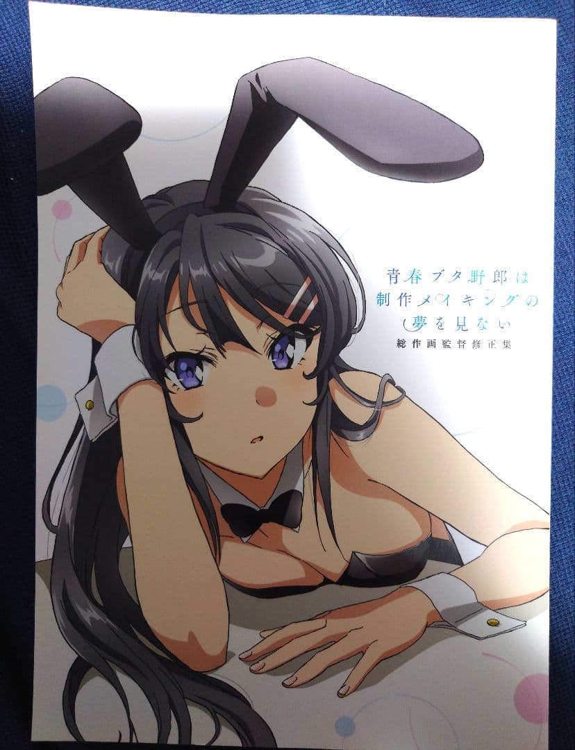 総作画監督修正集 青春ブタ野郎は制作メイキングの夢を見ない【中古】