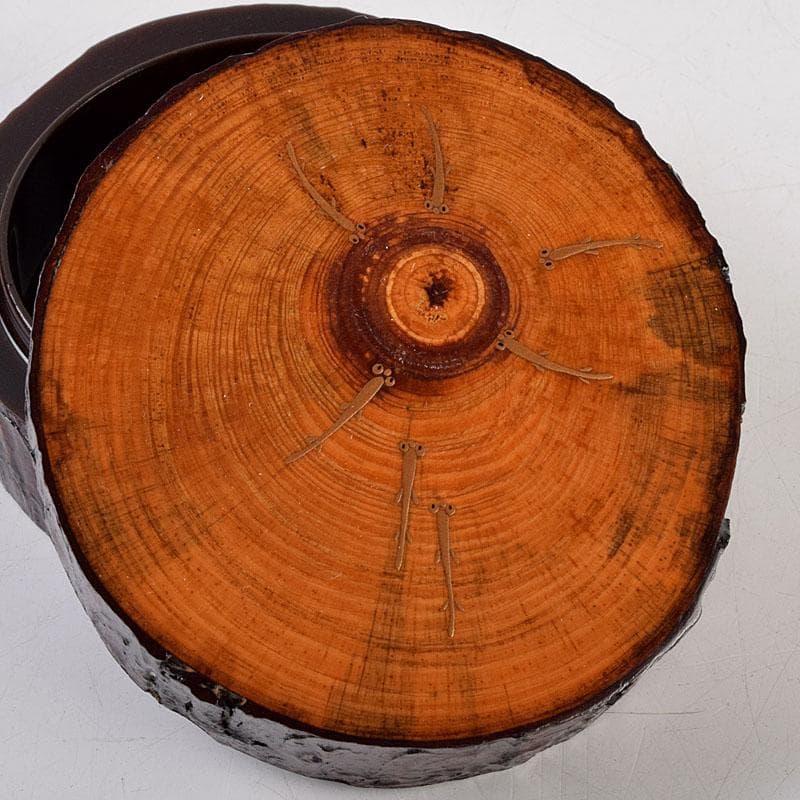 茶道具　加賀蒔絵師　川上峰春作　メダカ図　松皮竹香合　共箱　V　9127