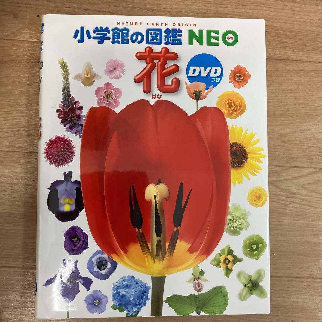 未使用！DVD付き！小学館の図鑑　NEO 9冊セット