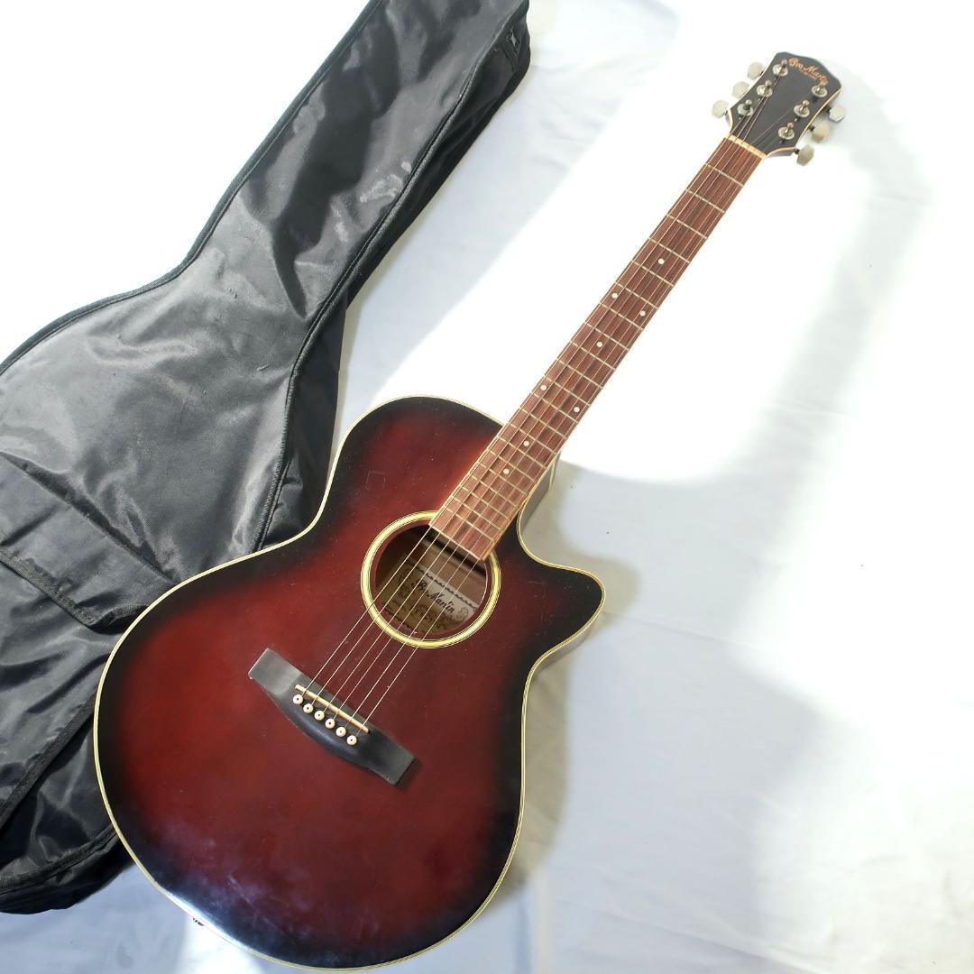 Pro Martin EAW-350 WRS エレアコ ギター ケース付