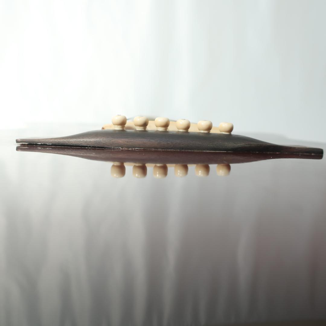 Pro Martin EAW-350 WRS エレアコ ギター ケース付