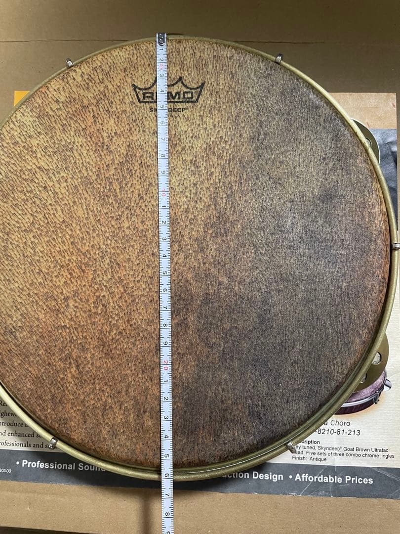 【REMO】ショーロ・パンデイロ PD821081113