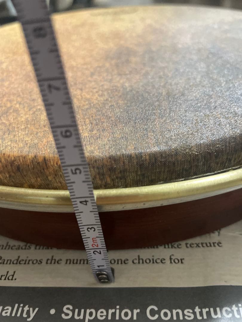 【REMO】ショーロ・パンデイロ PD821081113