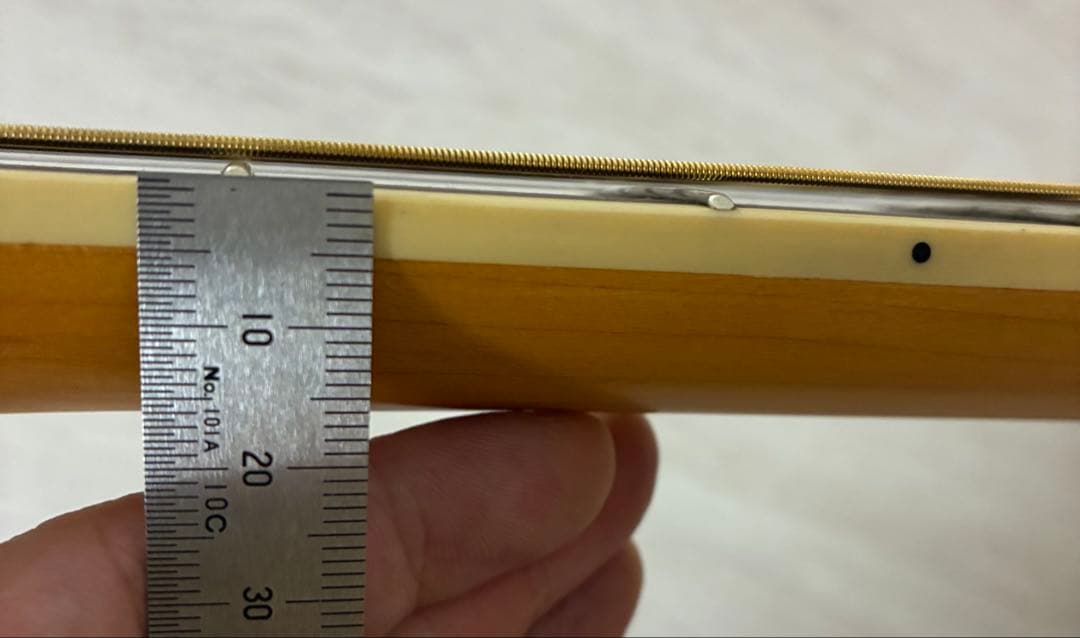 Fender Tim Armstrong Hellcat エレアコ