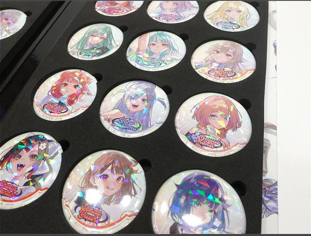 ぶいすぽ　SHOWDOWN ホログラム缶バッジ 全23種ブック型缶バッジホルダー