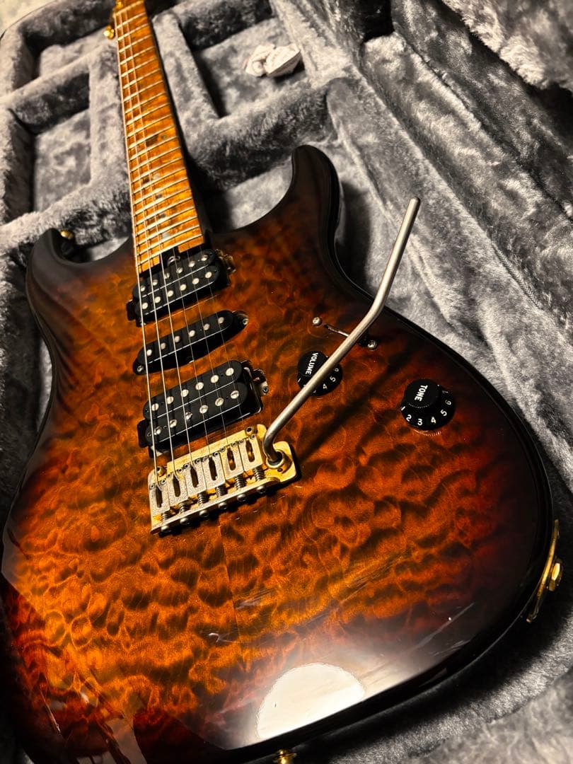 ギター Addictone Custom Guitars HSH