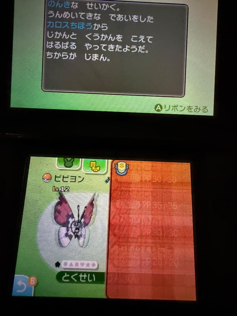 ポケモン　ムーン　ソフト　配布多数　チラシ付き