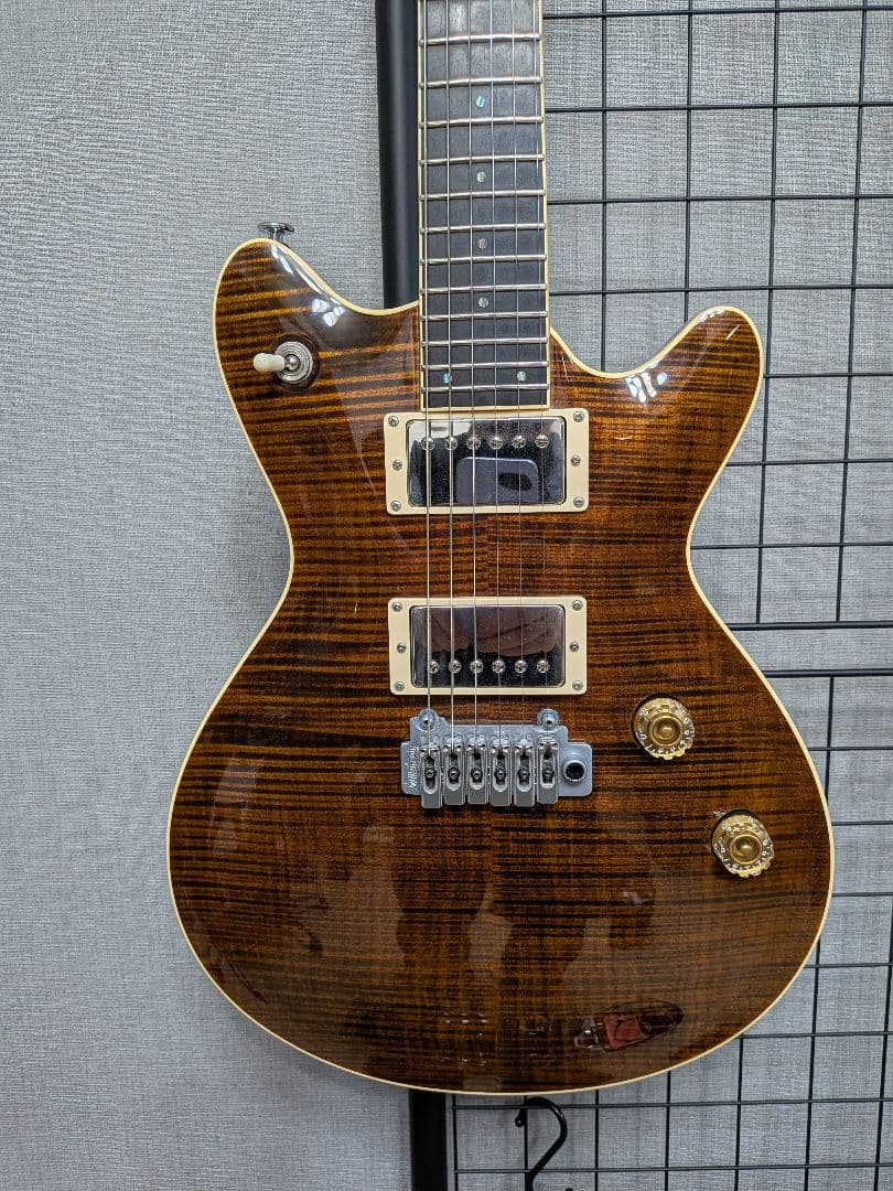 ギター T's guitars ARC-STD
