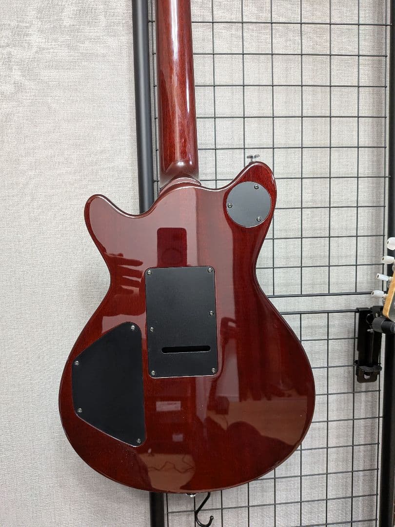 ギター T's guitars ARC-STD