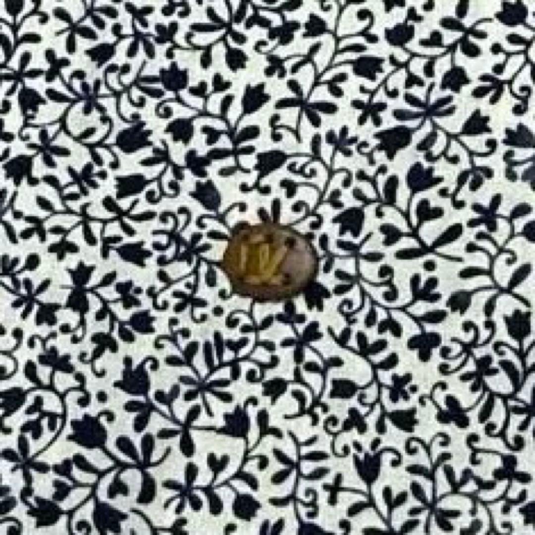 ＊hananoko＊〜プロフ一読願います 専用45R フラワータペット オーシャ