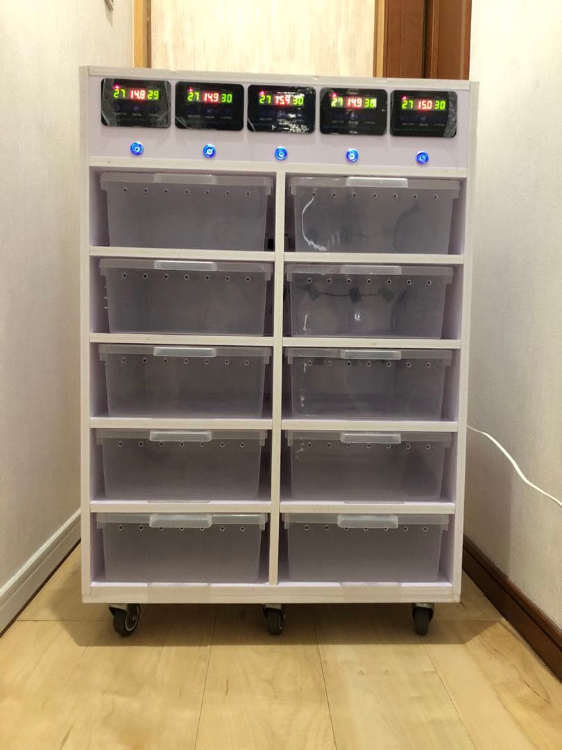 温室・ショーケース 10個収納 デジタル温度計付き