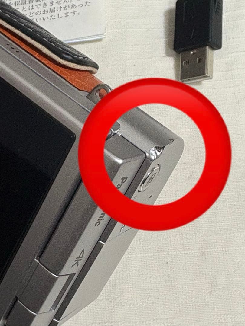 Panasonic LUMIX G DC-GF9W ミラーレス 4k