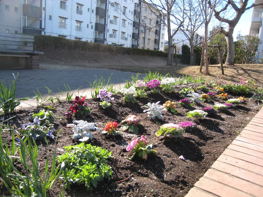 実写美⭕️新品同様【動作確認済】Canon IXY DIGITAL 900IS