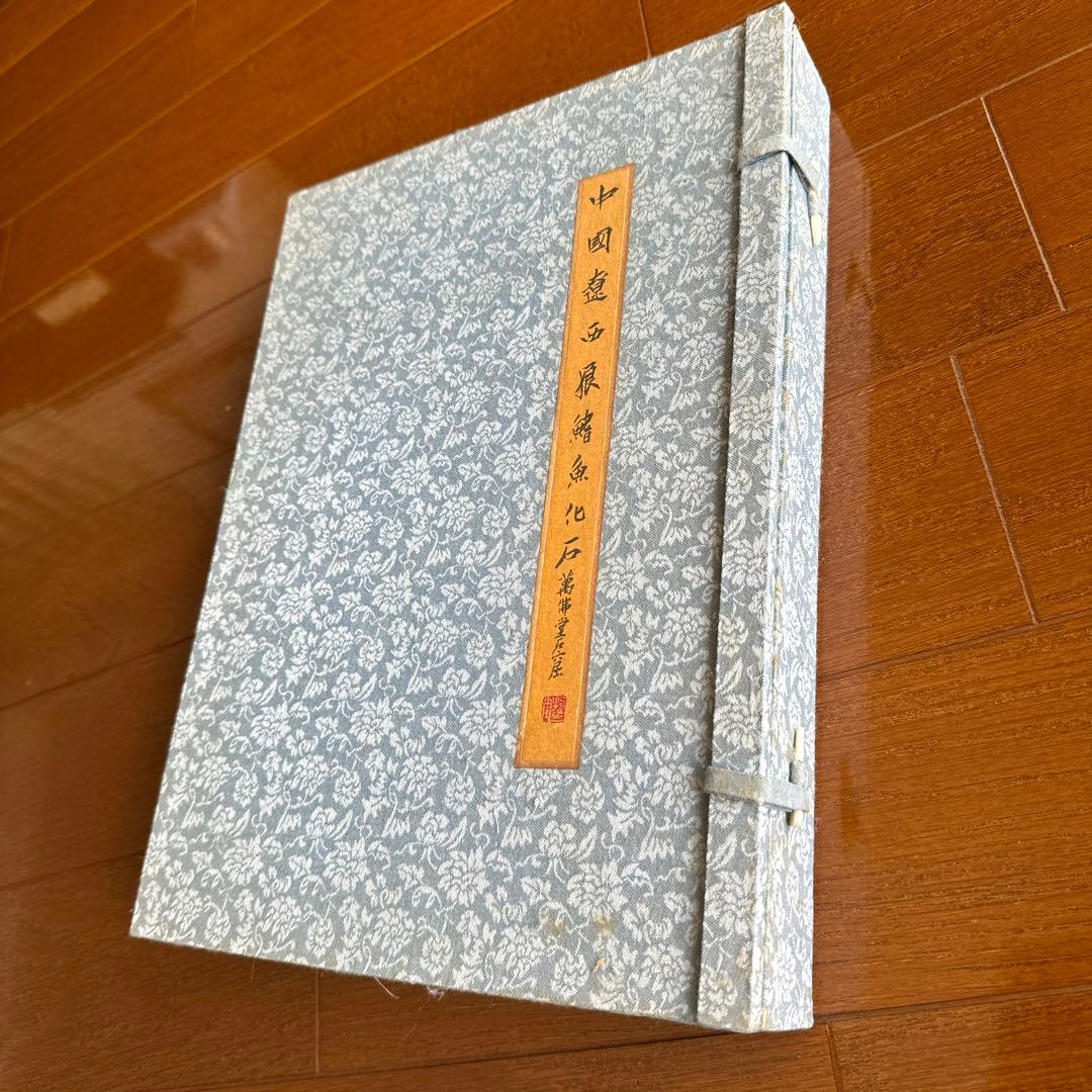 額装　魚の化石（Lophocephalus）約4千万年前 中国産