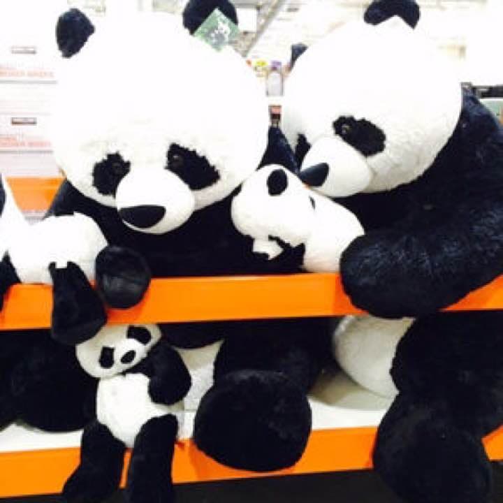 コストコ パンダ ぬいぐるみ