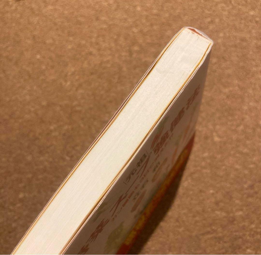 美品　元祖 野菜スープ強健法　立石 和 著