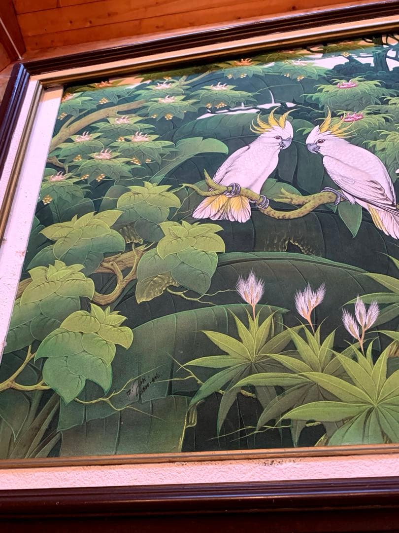 絵画　自然　鳥　小鳥　オウム　緑　絵　熱帯雨林　鳥　雑貨　バード