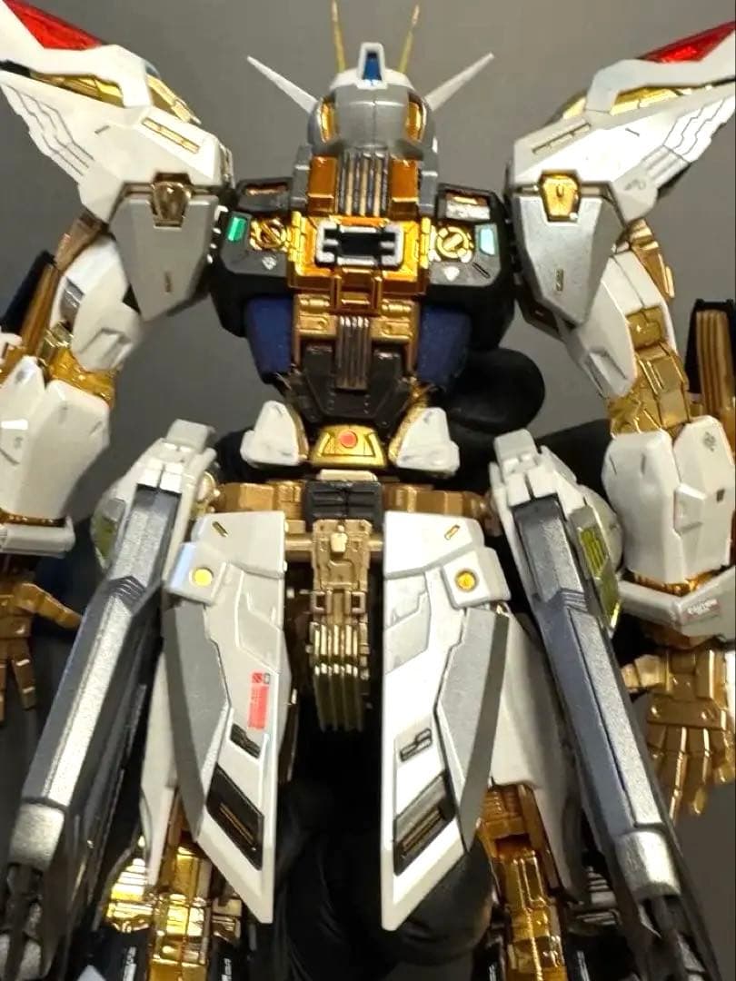 1/100 MGEXストライクフリーダム海外モデル完成品