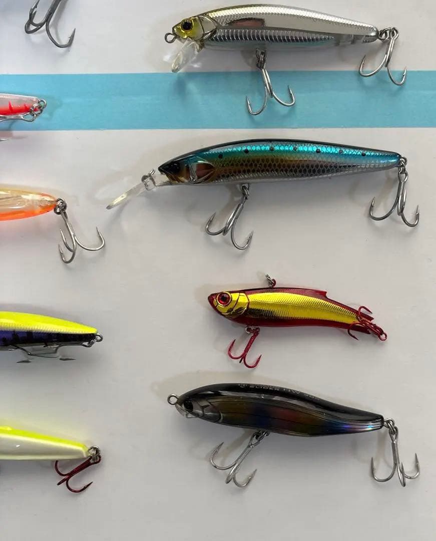 シーバス、青物、セット売り