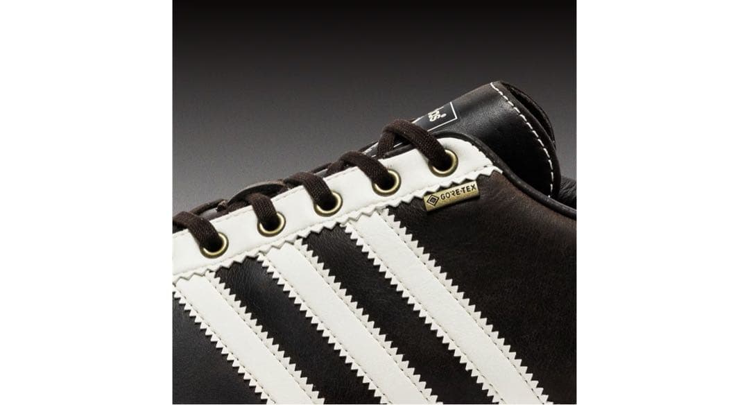 シューズ Adidas Bern GTX