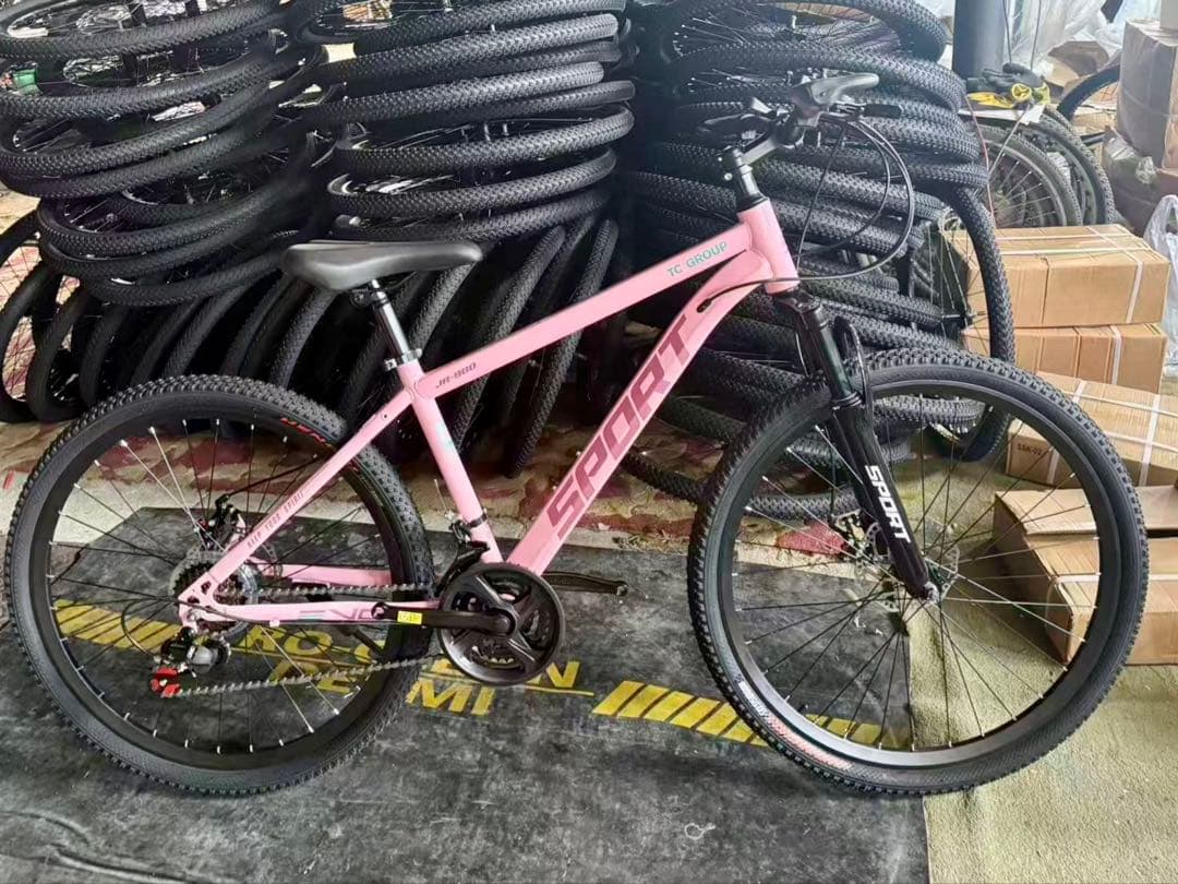 スポーツバイク マウンテンバイク ホワイト・グレー MTB