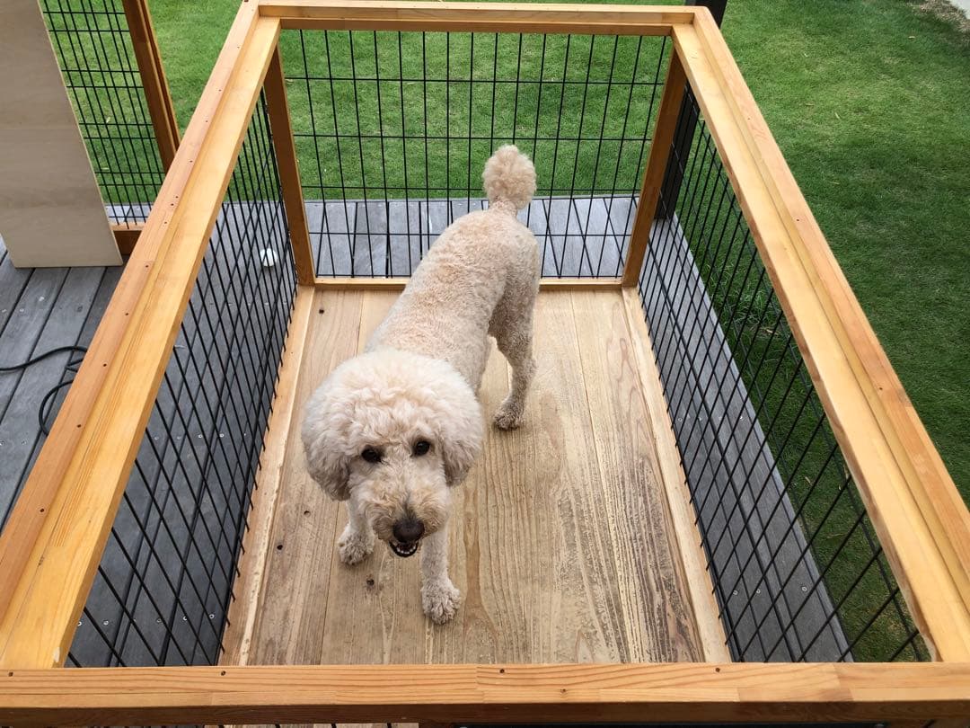 引き取り限定　中大型犬用ケージ、ハウス、バリケン、サークル(自作)