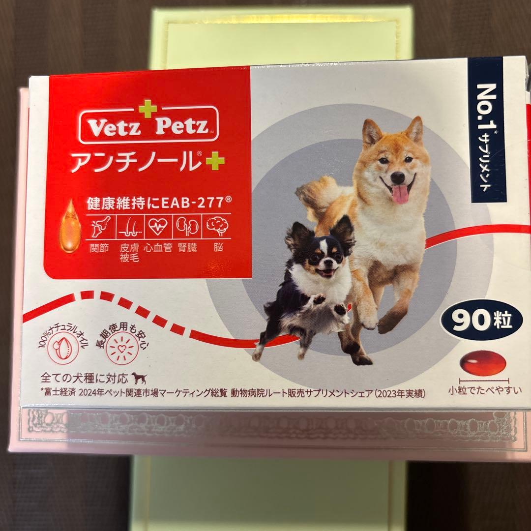 アンチノールプラス　90粒　新品未使用