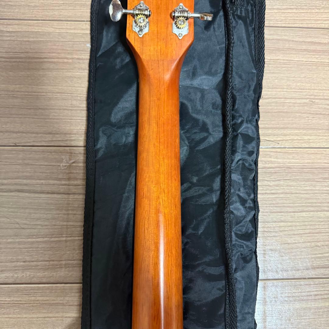 Aria Dreadnought AD-211 ギター 玄なし