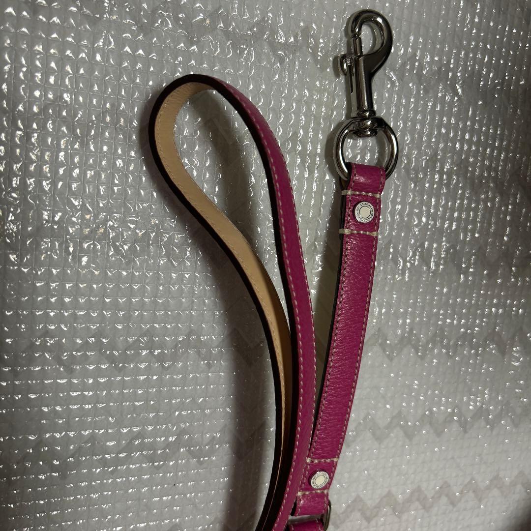 COACH ピンク レザー 首輪とリードセット