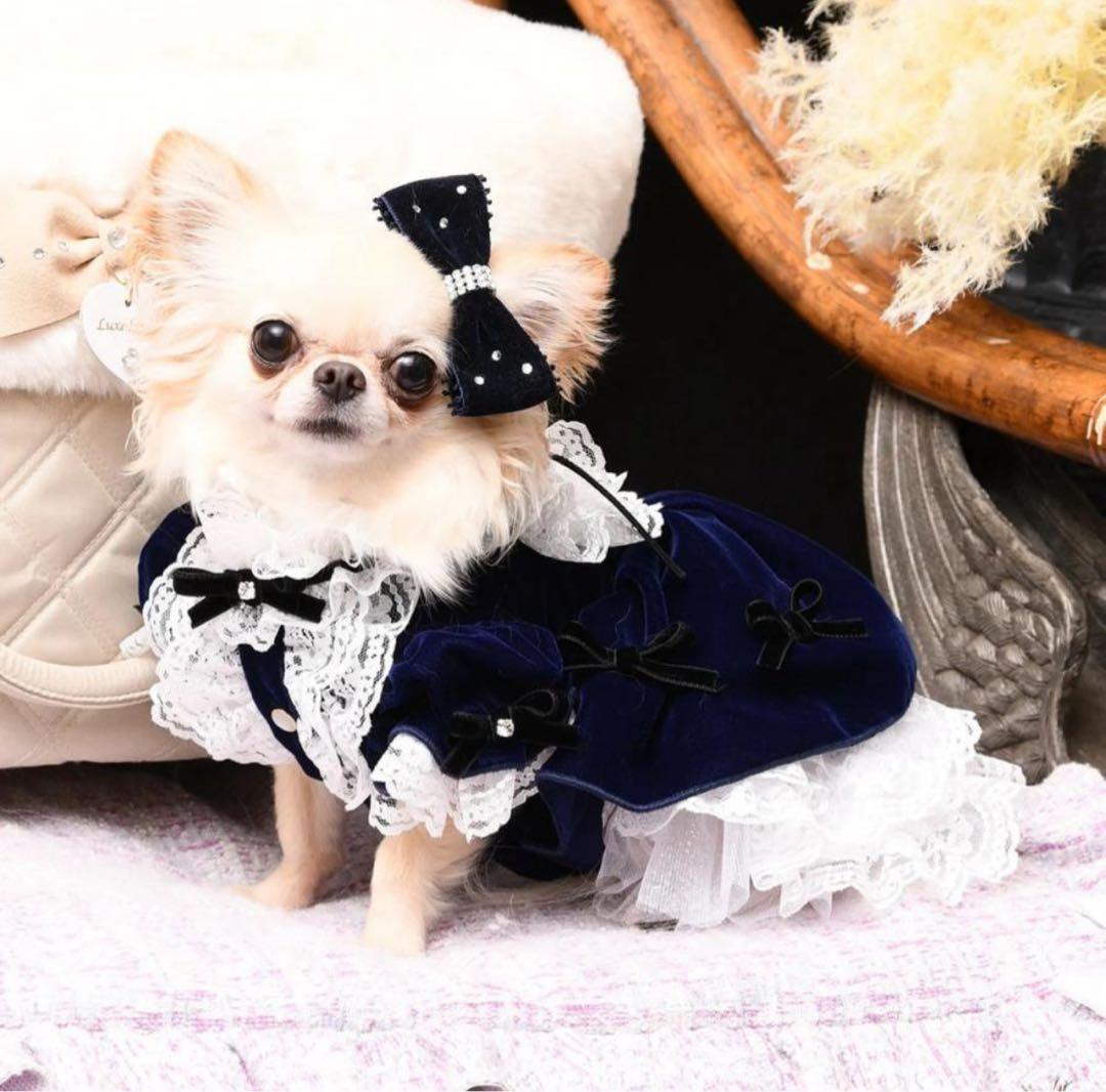 新品　luxebirdie エリアスワンピース　ネイビー